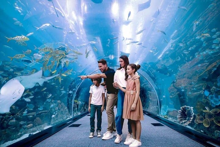 Dubai Underwater Zoo & Aquarium: Shark Tunnel, Penguin Cove, and Behind‑the‑Scenes Access photo 2