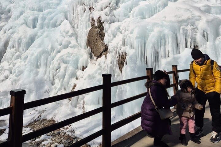 Namyangju Day Trip: Strawberry Picking, Eobi Ice Valley & Snow Sledding photo 6