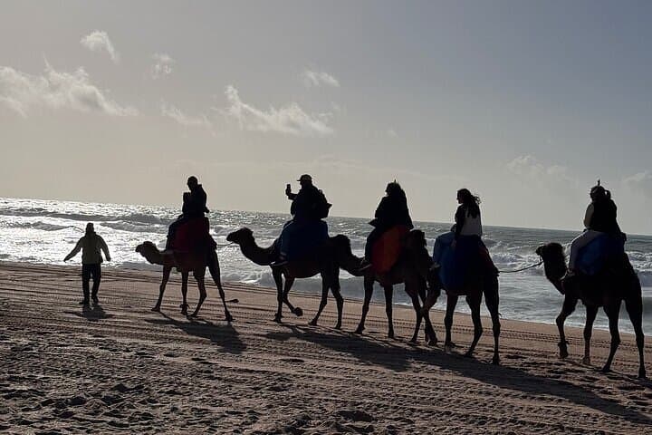 Tangier Sunset at Cap Spartel: Caves, Camel Ride & Coastal Dinner photo 4