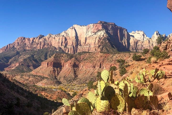 Half-Day Guided Hike to Emerald Pools & Virgin River Walk in Zion National Park photo 2