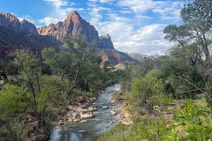 Half-Day Guided Hike to Emerald Pools & Virgin River Walk in Zion National Park