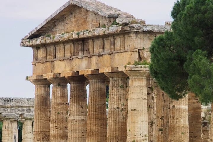 Explore Paestum: Greek Temples and Fresh Buffalo Mozzarella Day Trip from Naples photo 4