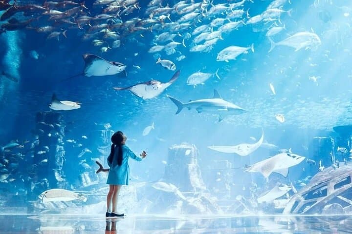 Explore Lost World Aquarium at Atlantis The Palm — Dubai's Underwater Journey