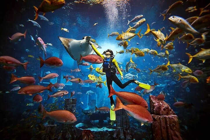 Explore Lost World Aquarium at Atlantis The Palm — Dubai's Underwater Journey photo 2