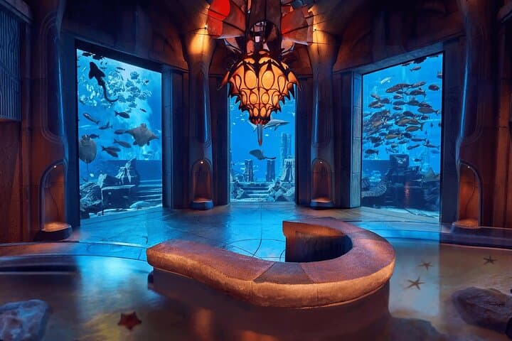 Explore Lost World Aquarium at Atlantis The Palm — Dubai's Underwater Journey photo 6