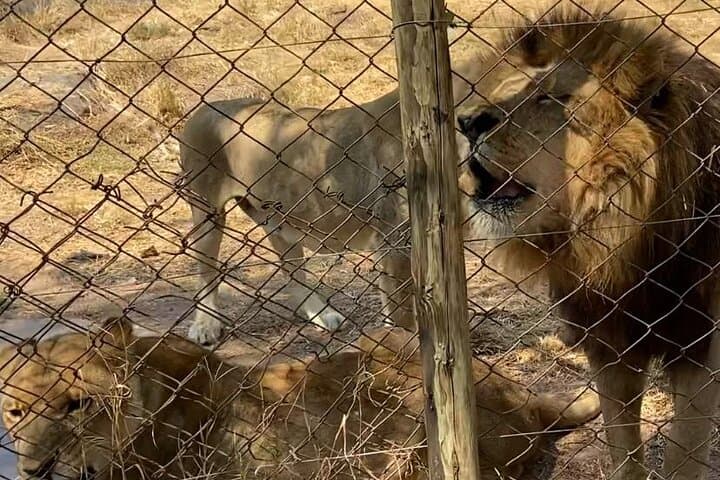 Three Parks in One Day — Harare Wildlife Private Guide Tour photo 3