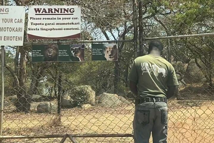 Three Parks in One Day — Harare Wildlife Private Guide Tour