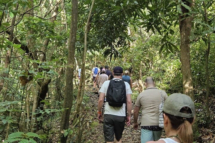 Nevis & St. Kitts Hikes, Bikes & Bees: Local Island Adventure with Nevis Peak