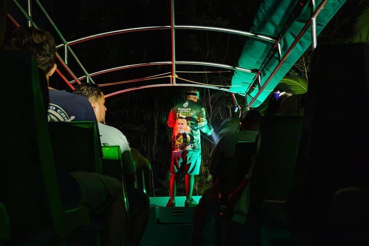 Mangrove Night Tour Isla Damas — Quepos Nocturnal Wildlife Kayak & Walk photo 2