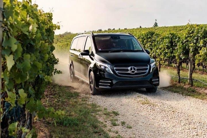 Signature Napier Wine Tour: 4 Wineries, Cheese & Luxury Vehicle in Hawke's Bay photo 1