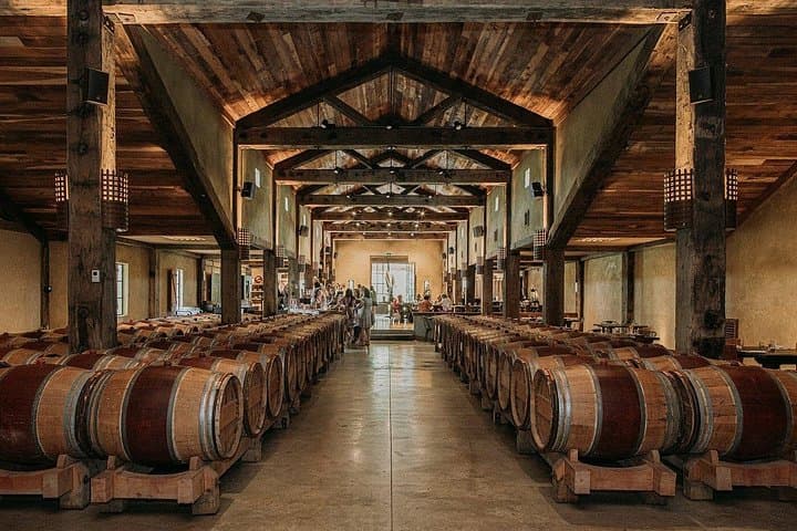 Signature Napier Wine Tour: 4 Wineries, Cheese & Luxury Vehicle in Hawke's Bay photo 2