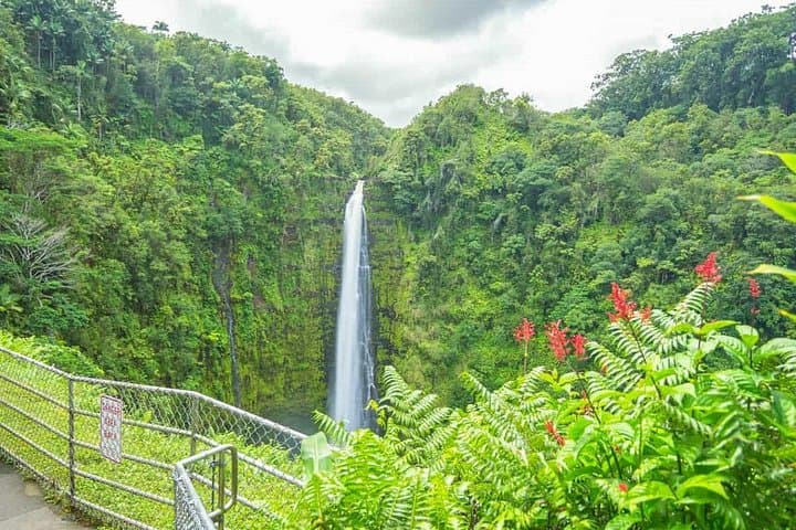 Hilo Finest Waterfalls and Town Tour — Rainbow Falls, Akaka & Hilo Market Guide photo 1