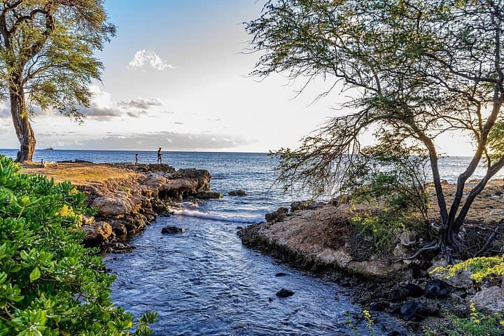 Hilo Finest Waterfalls and Town Tour — Rainbow Falls, Akaka & Hilo Market Guide photo 2