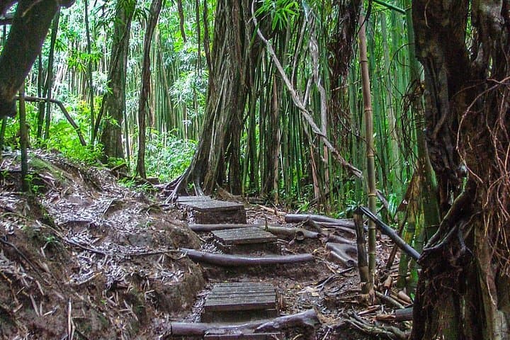 Hilo Finest Waterfalls and Town Tour — Rainbow Falls, Akaka & Hilo Market Guide photo 3
