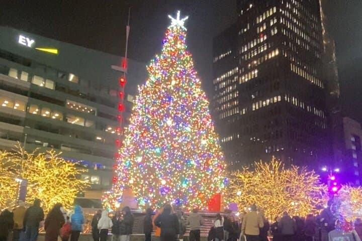 Holiday Spirits: Festive Detroit Bar Walking Tour