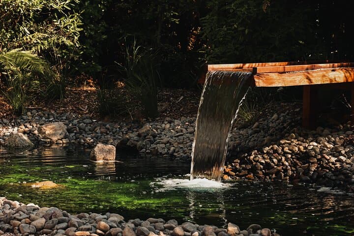 Rotorua Private Sauna Experience — Hinoki Sauna & Cold Plunge Beside Whakarewarewa Forest photo 6