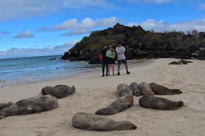 Self-Guided E‑Bike Rental in San Cristóbal, Galápagos — Explore with a Specialized Turbo photo 6