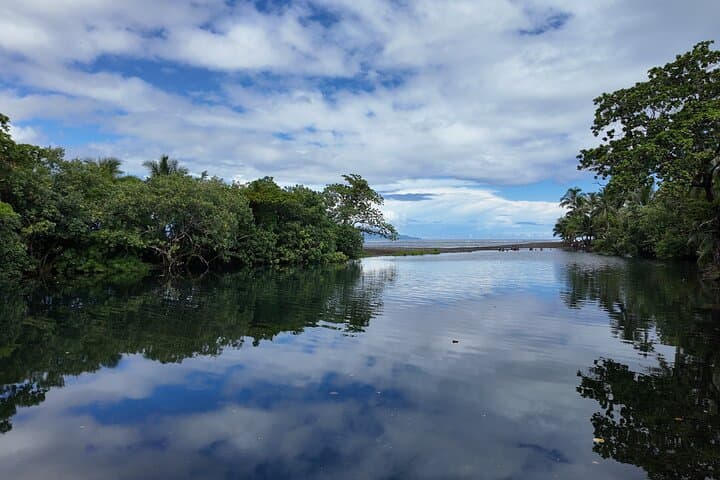 Private Tahiti Island Tour — Full-Day Custom Drive with Local Guide photo 5