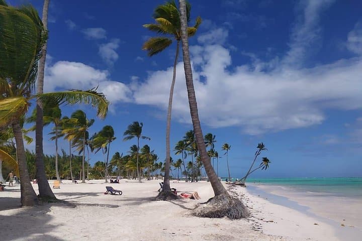 Catalina Island Snorkel at The Wall and Altos de Chavón Day Tour photo 3