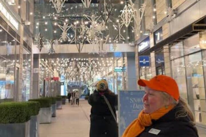 Washington DC Holiday Lights Bus Tour: National Christmas Tree & Festive Stops photo 6