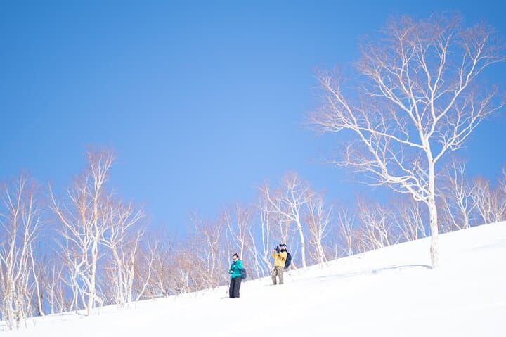 Furano Snowshoeing & Onsen: Guided Winter Walks in Hokkaido photo 4