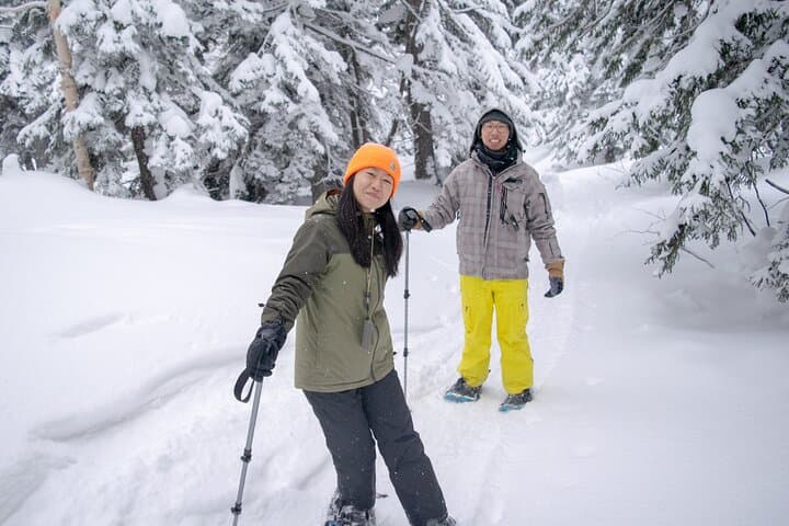 Furano Snowshoeing & Onsen: Guided Winter Walks in Hokkaido photo 6