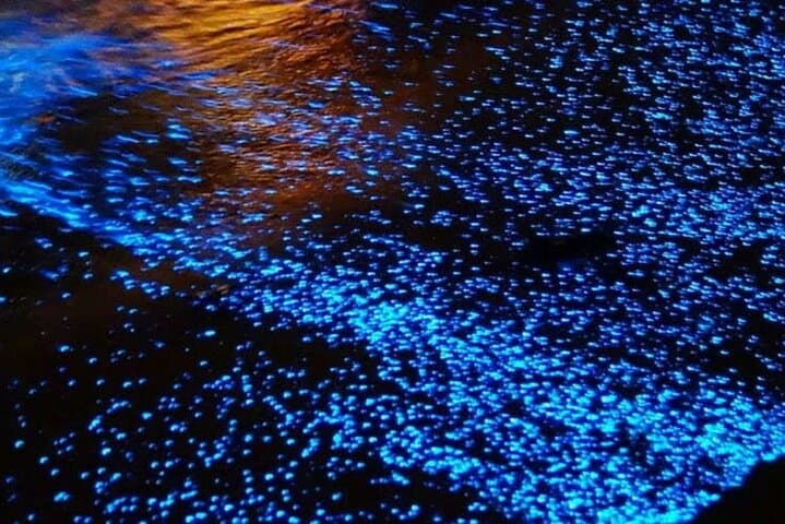 Tortuga Island Sunset and Bioluminescence Cruise from Santa Teresa photo 2