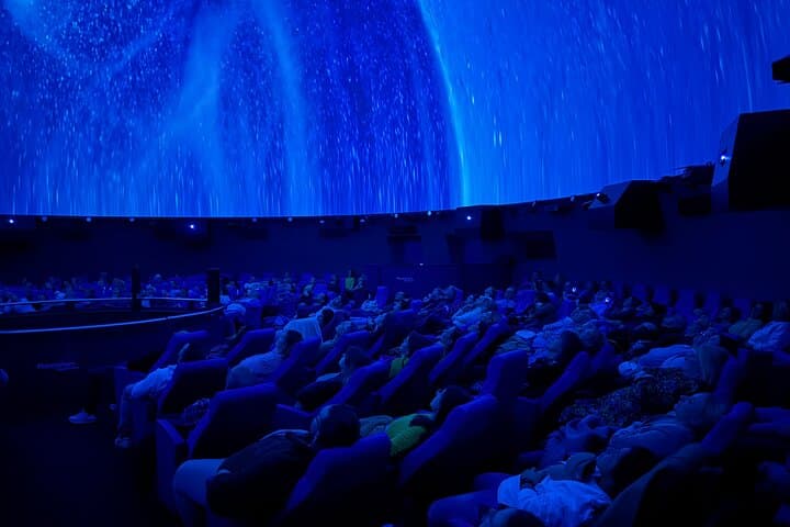 Sounds of the Ocean: Immersive Ocean Experience at MOSI Tampa photo 4