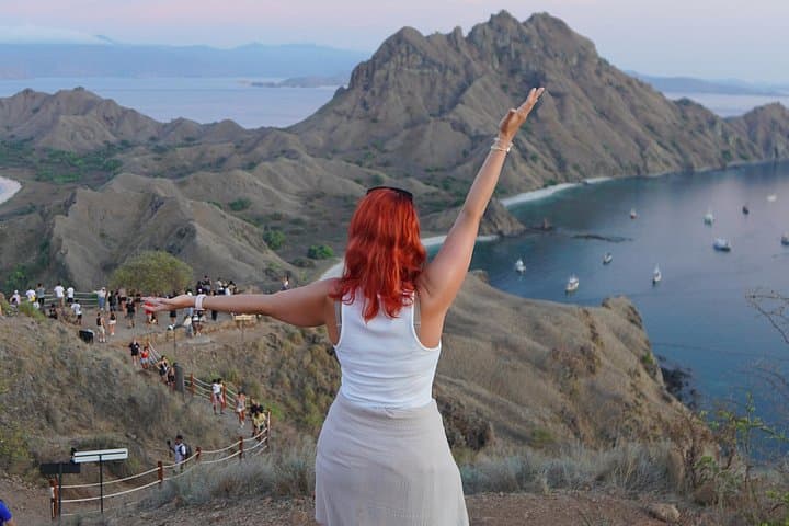 Full-Day Komodo Island Hopping Tour from Labuan Bajo — Komodo Dragons, Pink Beach & Manta Rays