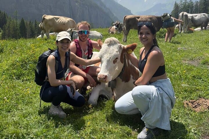 Guided Hike with a Swiss Triathlete in Kandersteg — Alpine Trails & Oeschinen Views