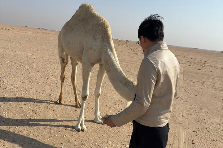Kuwait Towers, Grand Mosque & Al-Subiya Desert Half-Day Tour photo 3