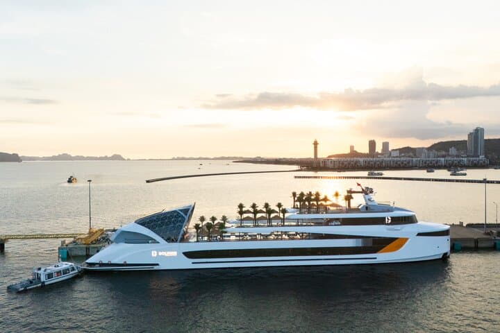 Luxury Dolphin Day Cruise in Halong Bay — Panoramic Views & Pool photo 3