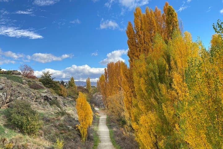 Otago Rail Trail eBike Day Tour — Ride Poolburn Gorge & 37m Viaduct