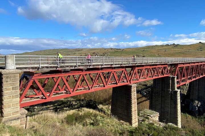 Otago Rail Trail eBike Day Tour — Ride Poolburn Gorge & 37m Viaduct photo 6