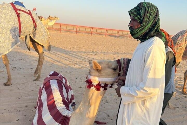 Watch the Camel Race in Kabd, Kuwait - Desert Races & Buggy Sunset Experience photo 2