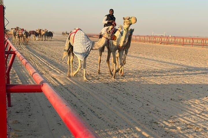 Watch the Camel Race in Kabd, Kuwait - Desert Races & Buggy Sunset Experience photo 3