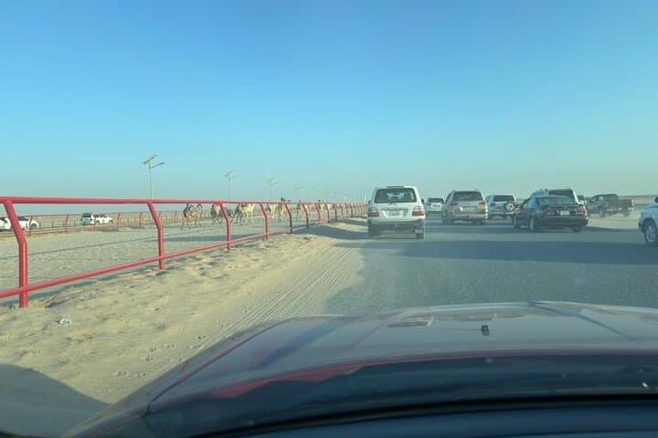 Watch the Camel Race in Kabd, Kuwait - Desert Races & Buggy Sunset Experience photo 4