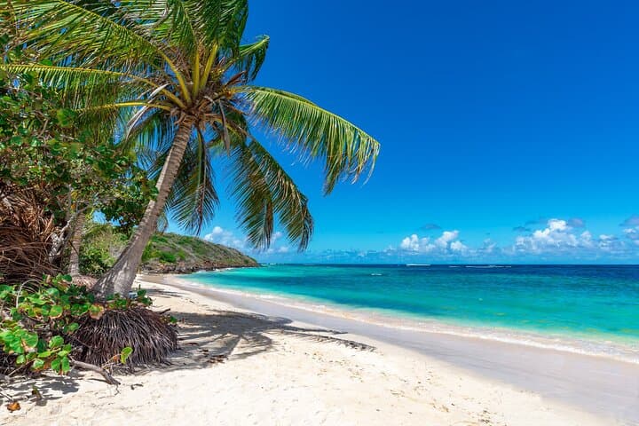 Paradise Cove Turtle Snorkel — Private 6-Hour Shore Tour from Freeport