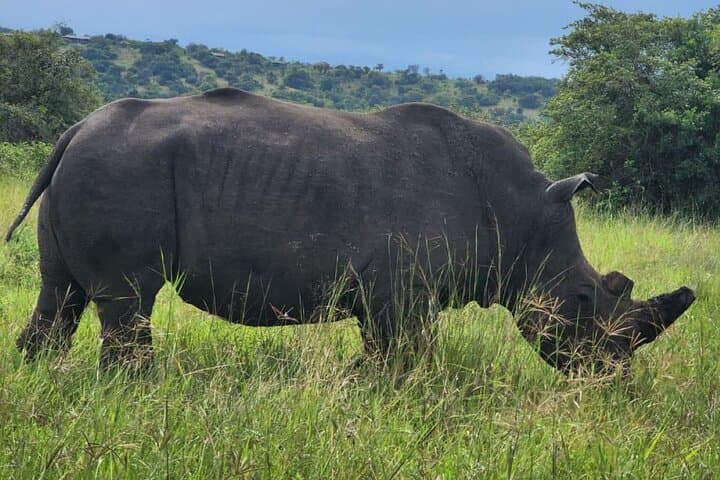 2-Day Akagera Camping Safari: Night Game Drives, Lake Ihema Boat Safari & Camping
