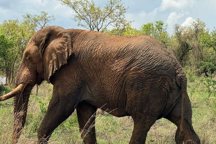 2-Day Akagera Camping Safari: Night Game Drives, Lake Ihema Boat Safari & Camping photo 2