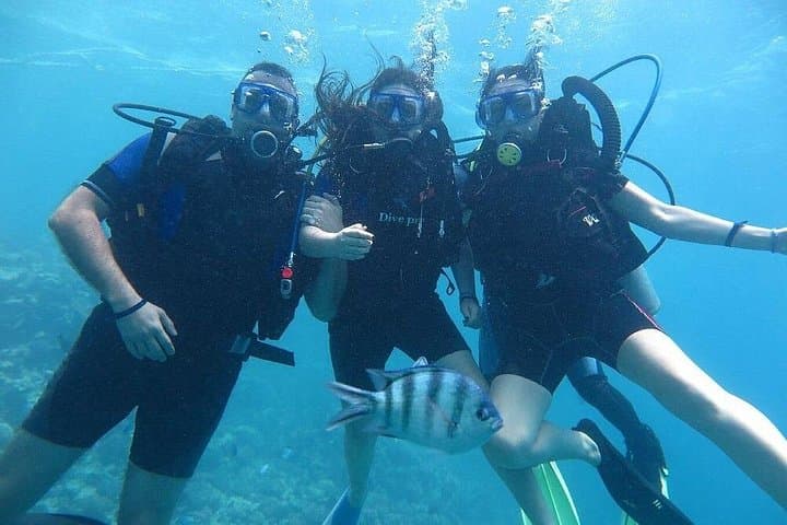 Hula Hula Island Two Dives, Snorkel & Lunch — Hurghada Red Sea Day Trip photo 3
