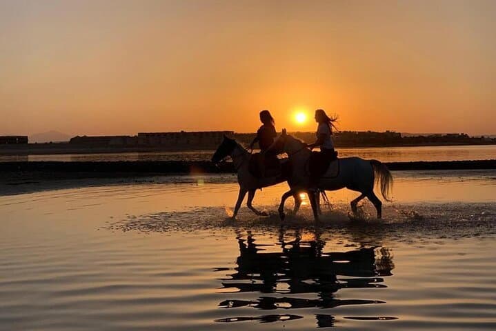 Desert and Sea Horseback Ride in Hurghada — 2-Hour Coastal & Desert Experience photo 5