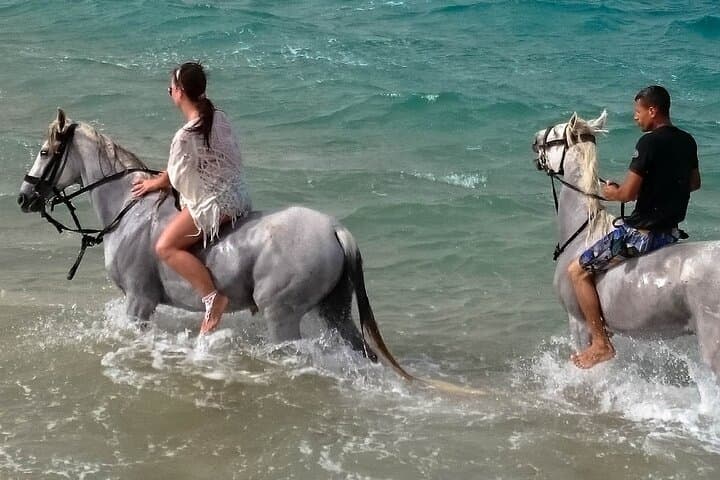 Desert and Sea Horseback Ride in Hurghada — 2-Hour Coastal & Desert Experience photo 4