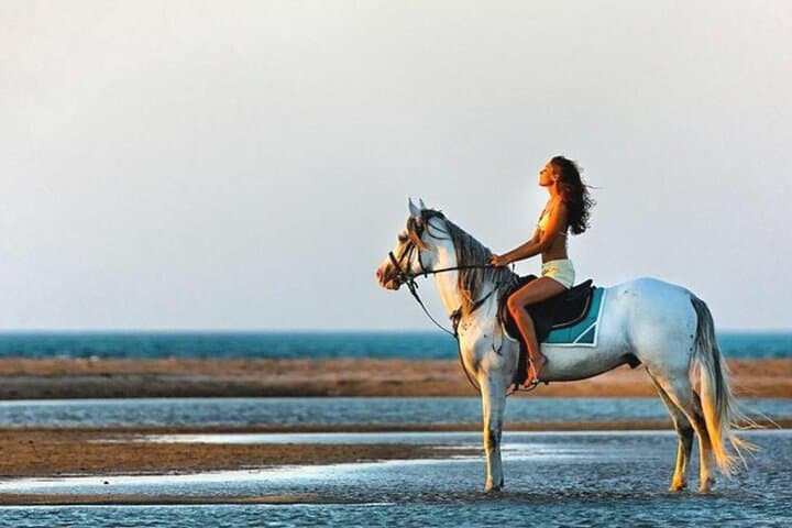 Desert and Sea Horseback Ride in Hurghada — 2-Hour Coastal & Desert Experience