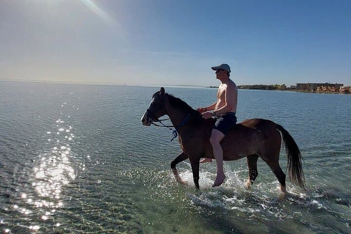 Desert and Sea Horseback Ride in Hurghada — 2-Hour Coastal & Desert Experience photo 3