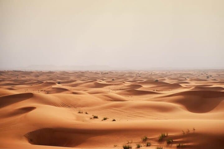 Dubai Desert Self-Drive Buggy Safari: Sunset Dunes, Bedouin Camp & BBQ photo 5