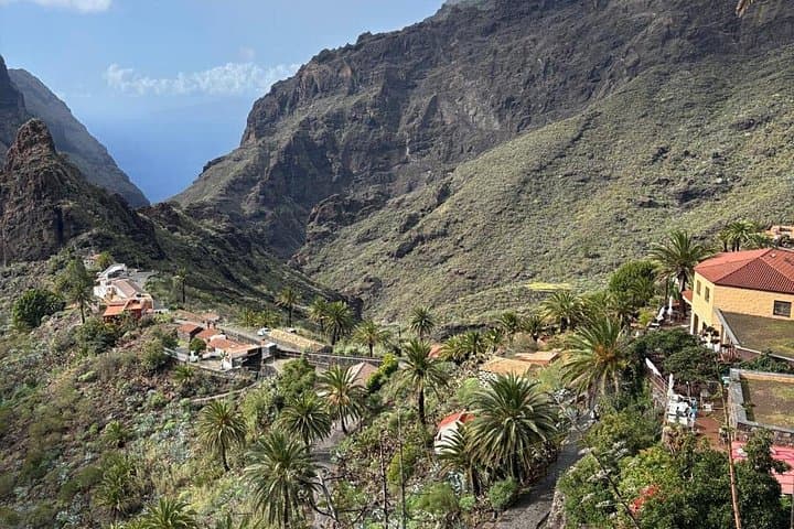 Masca Village, Los Gigantes & Natural Pools Day Trip from Tenerife photo 3