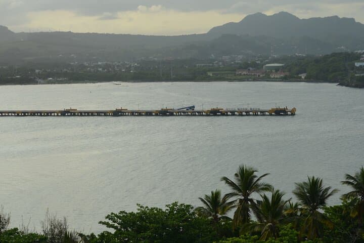 Squirrel Monkey Encounter and Puerto Plata Historic Walking Tour photo 4