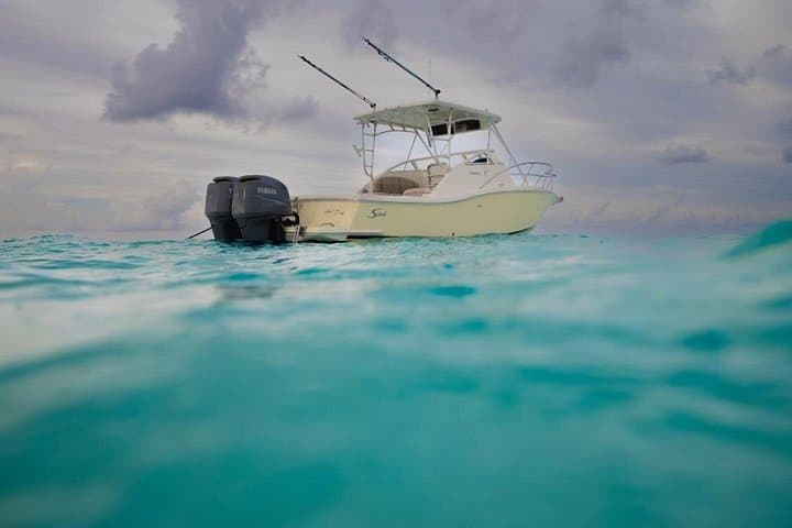 Grand Cayman Private Boat Tour: Stingray City, Kaibo Beach Dinner & Bioluminescent Bay photo 3