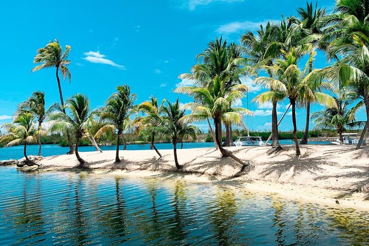Grand Cayman Private Shore Tour: Pedro St. James & Cayman Spirits Distillery